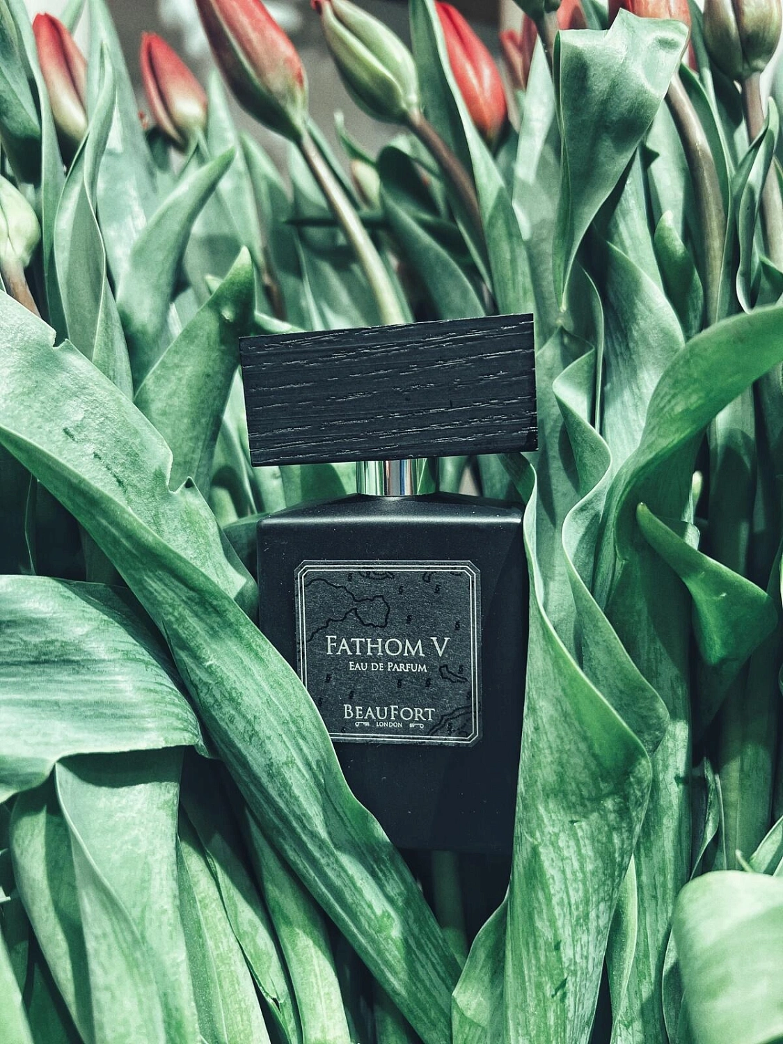 BeauFort London Fathom V