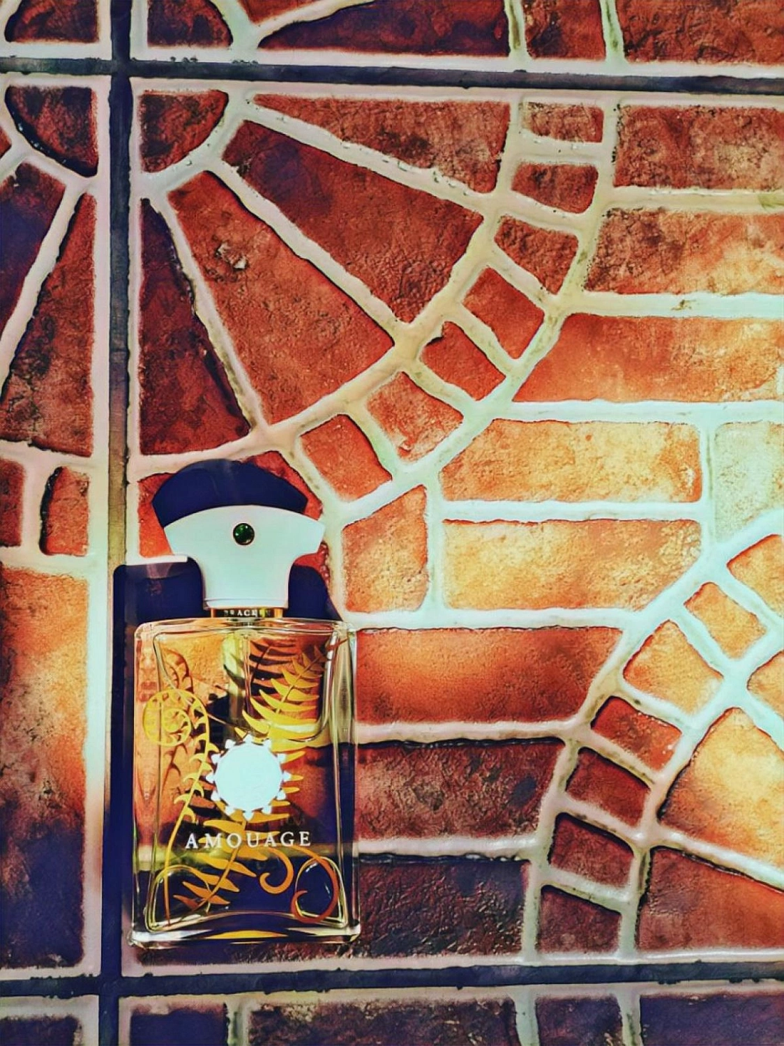 Amouage Bracken Man