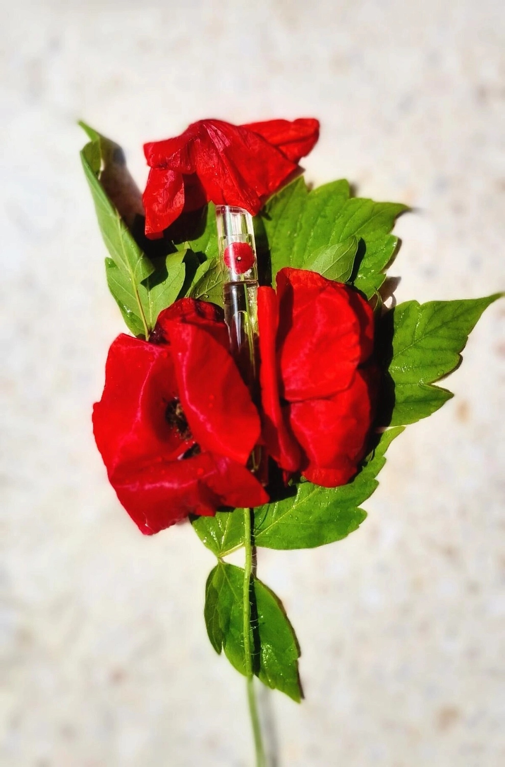 Flower by Kenzo Ryoko