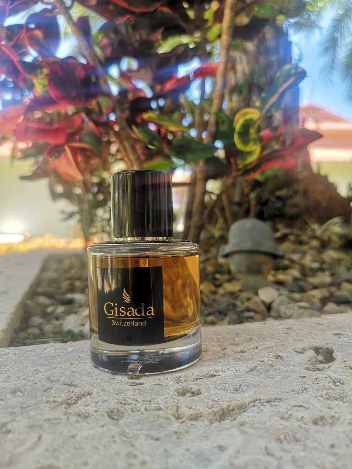 Gisada Ambassador Men