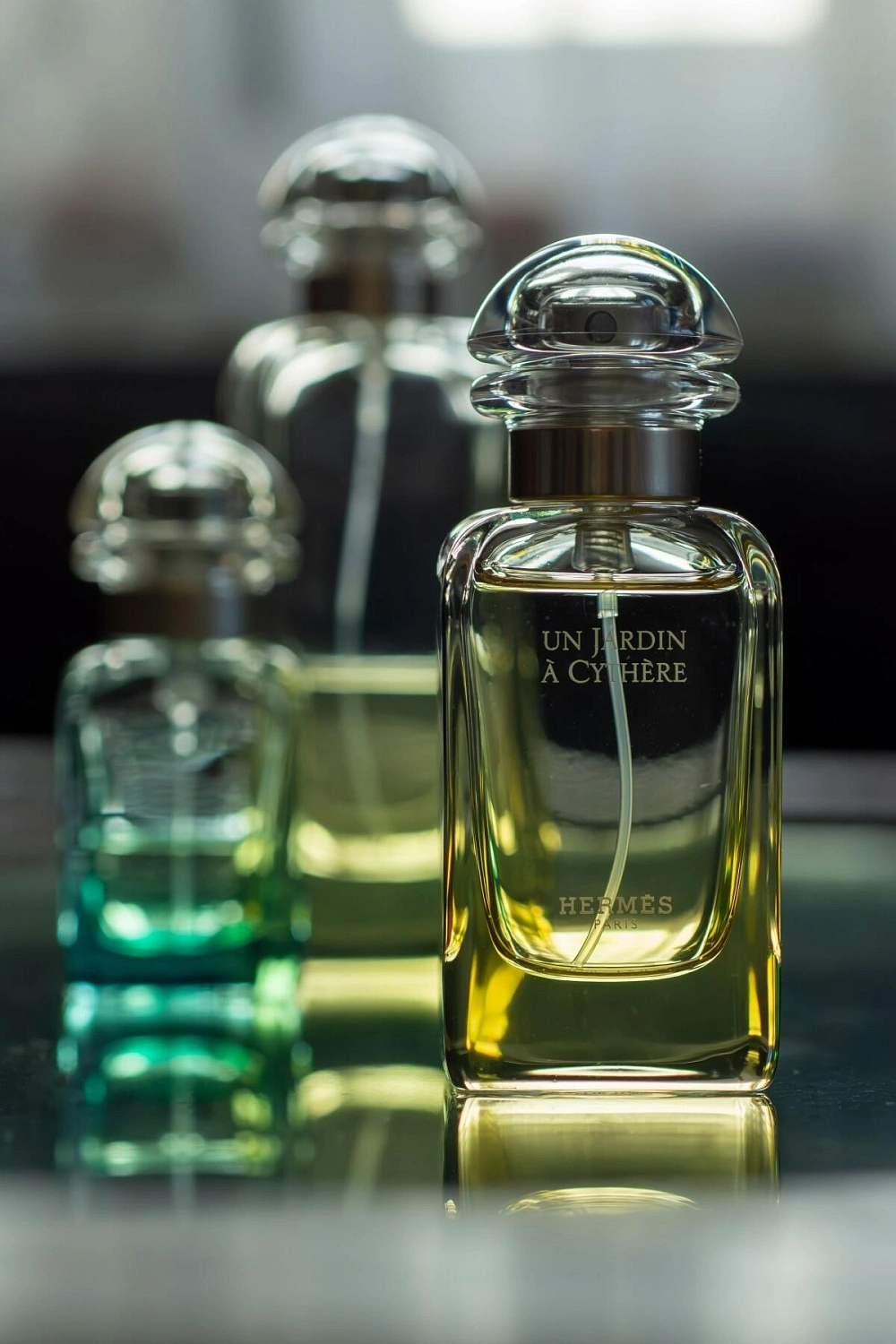 Hermès Le Jardin de Monsieur Li