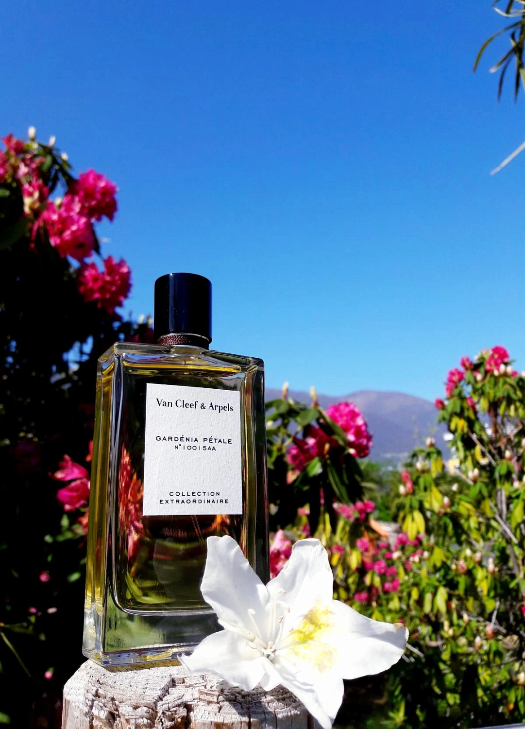 Van Cleef & Arpels Collection Extraordinaire Gardenia Petale