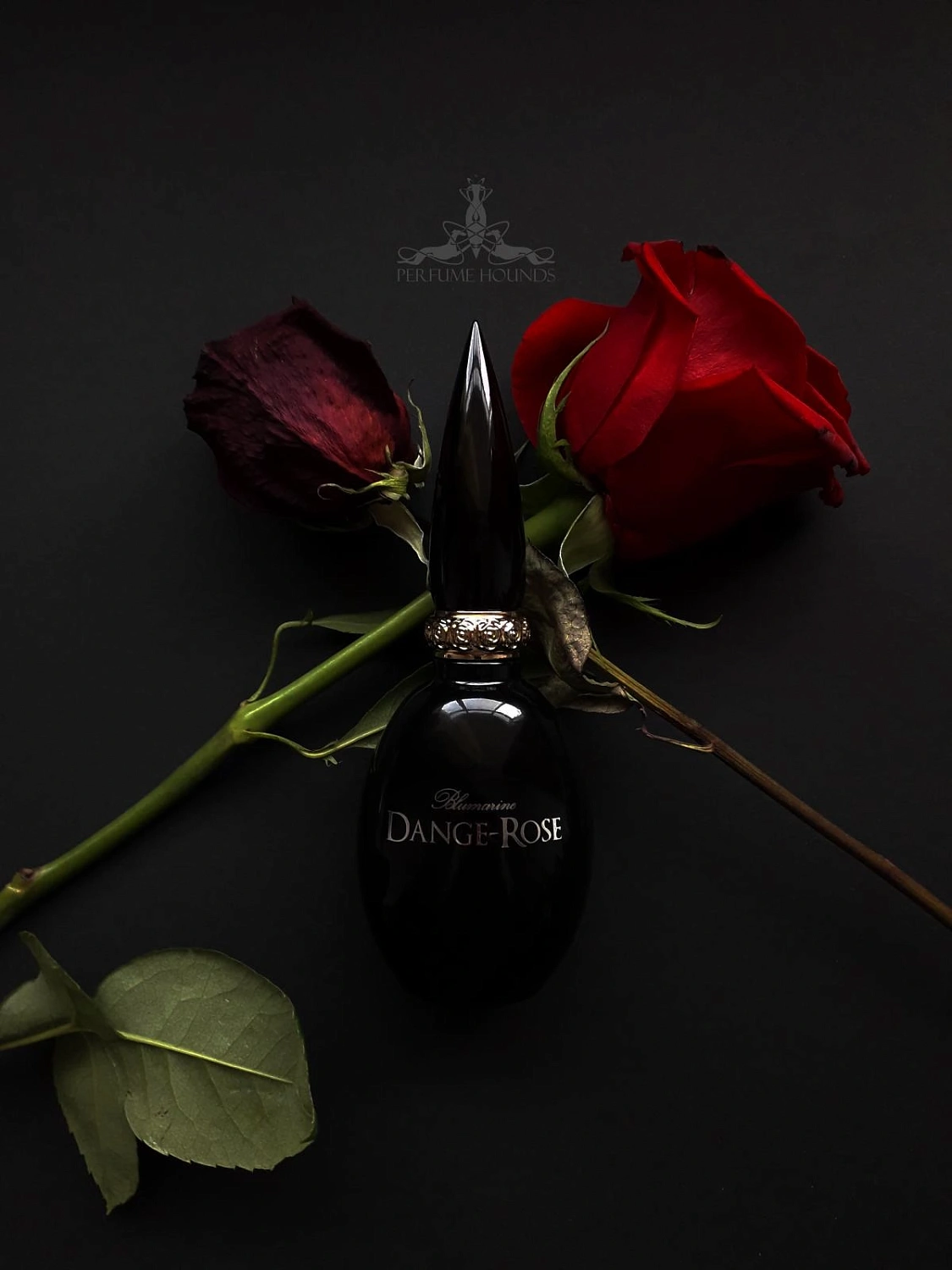 Blumarine Dange-Rose