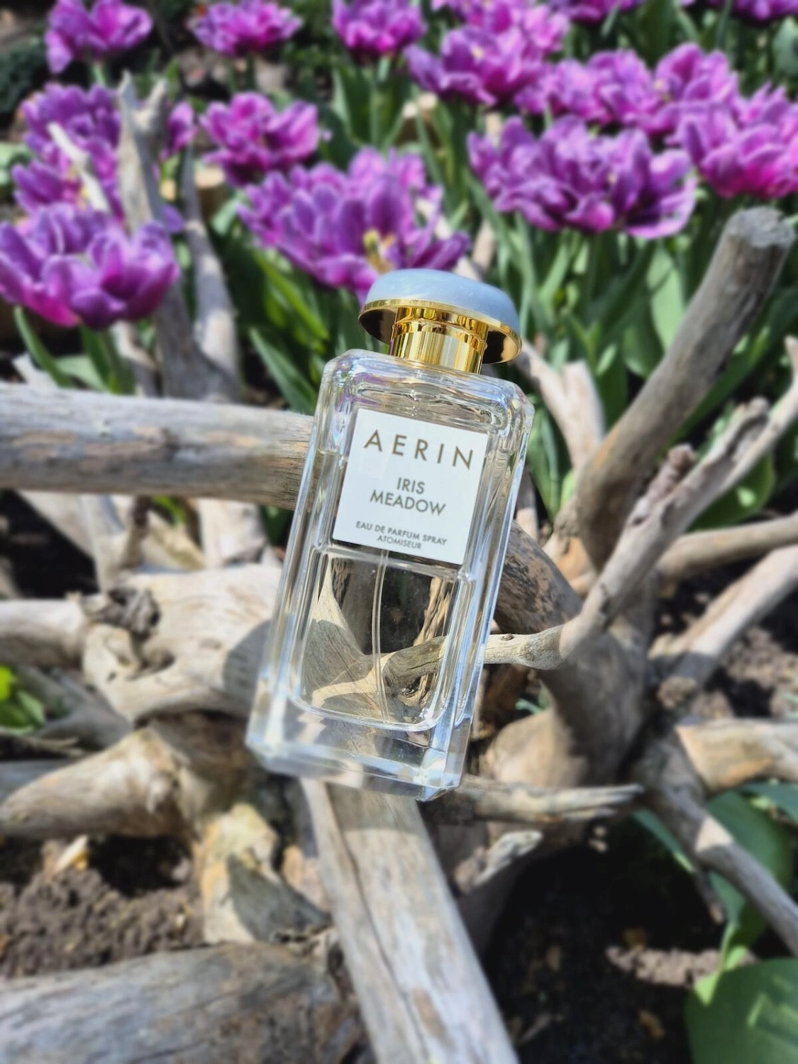 AERIN Iris Meadow