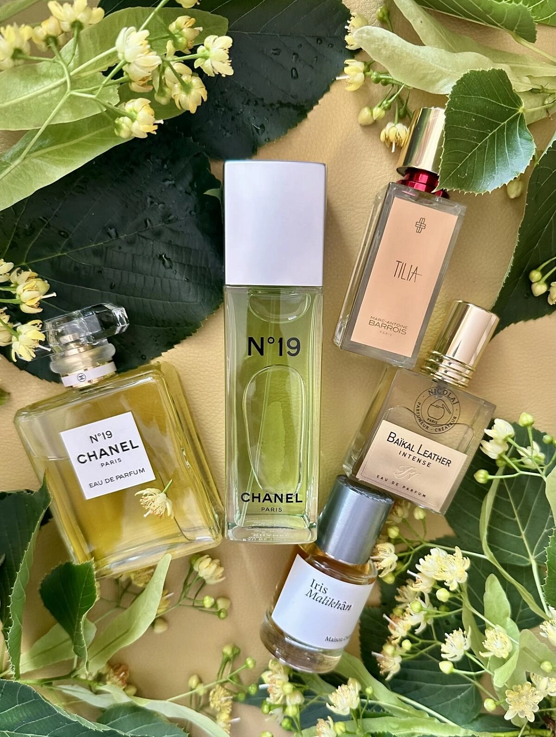 Nicolaï Baikal Leather Intense