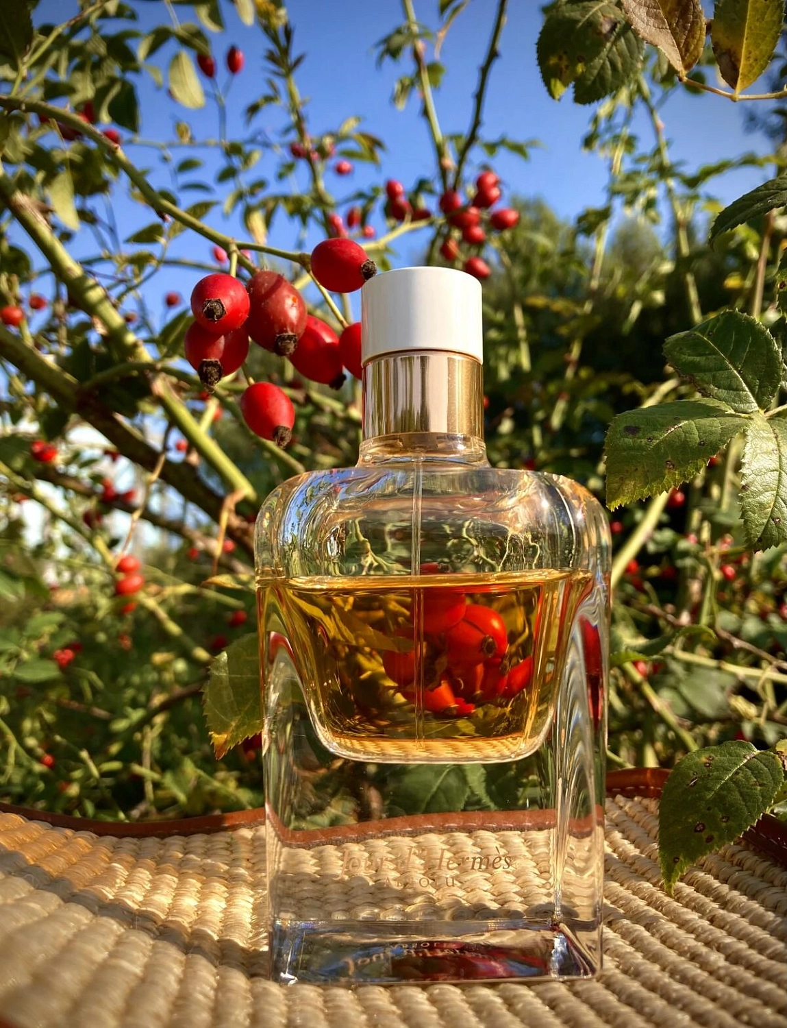 Jour d'Hermès Absolu