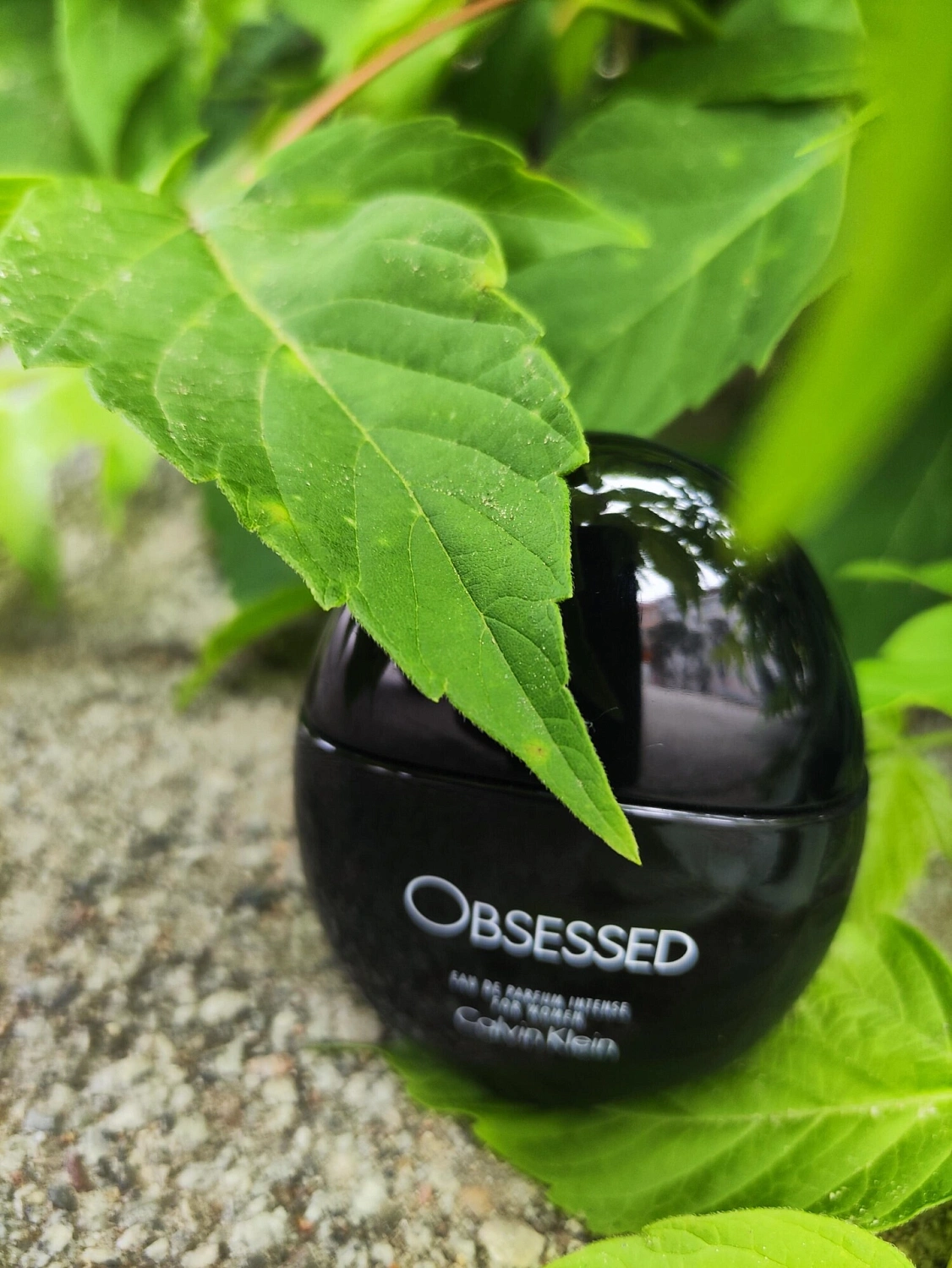 Calvin Klein Obsessed for Women Intense