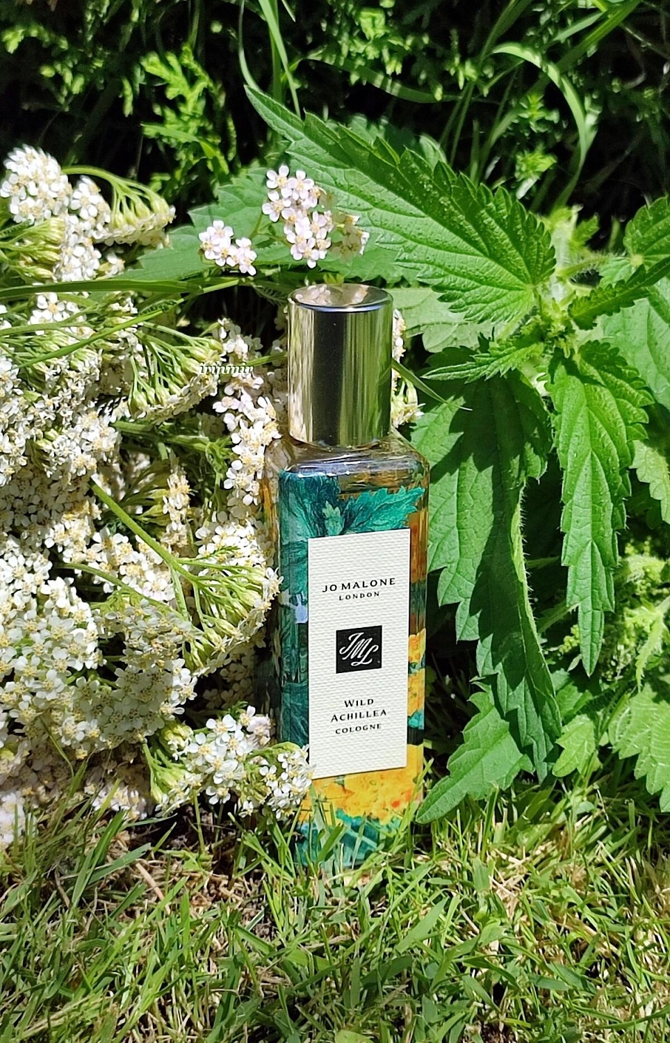 Jo Malone Wild Achillea