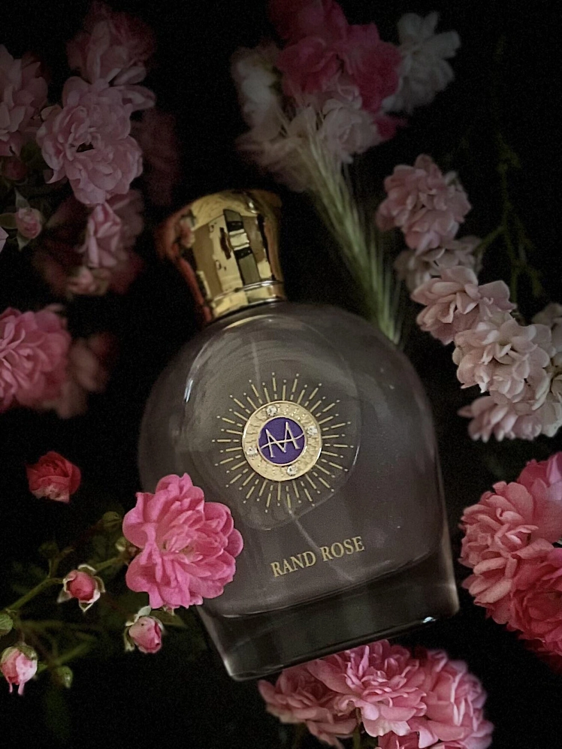 Moresque Rand Rose
