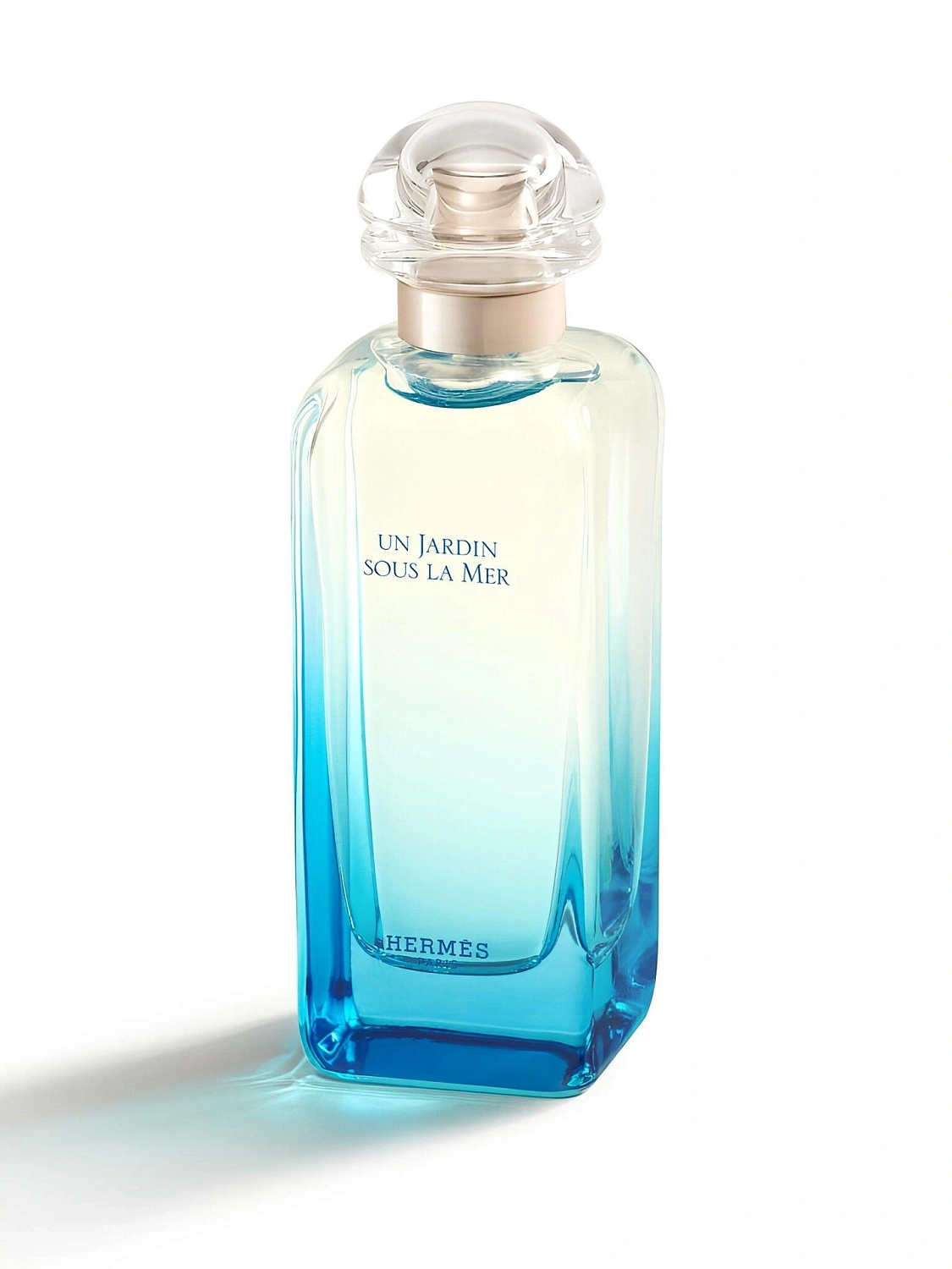 Hermès Un Jardin Sous la Mer