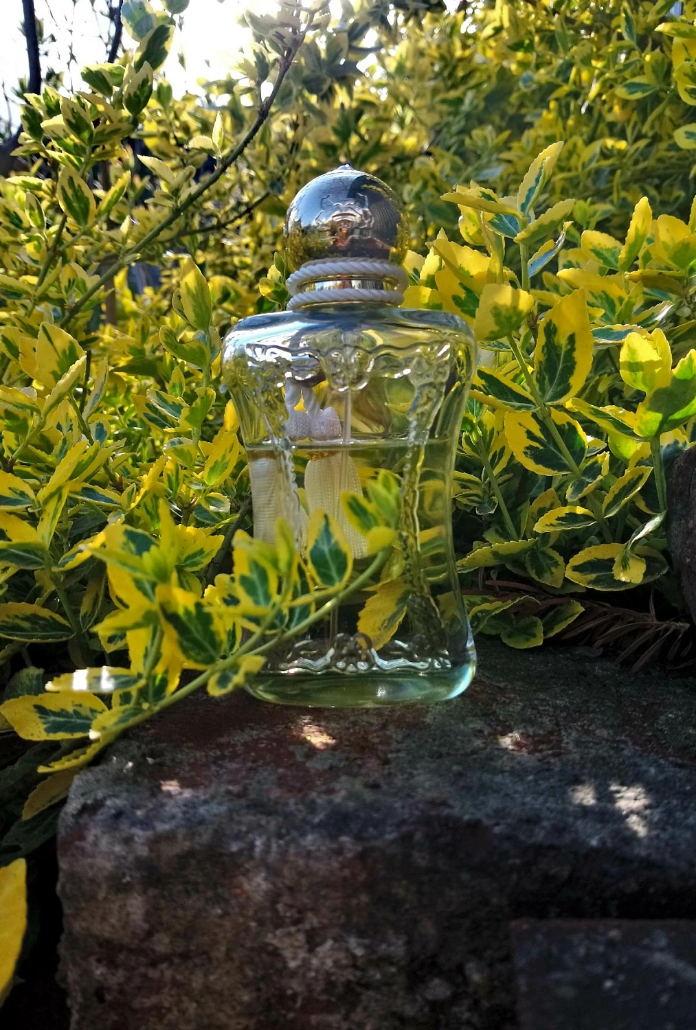 Parfums de Marly Meliora