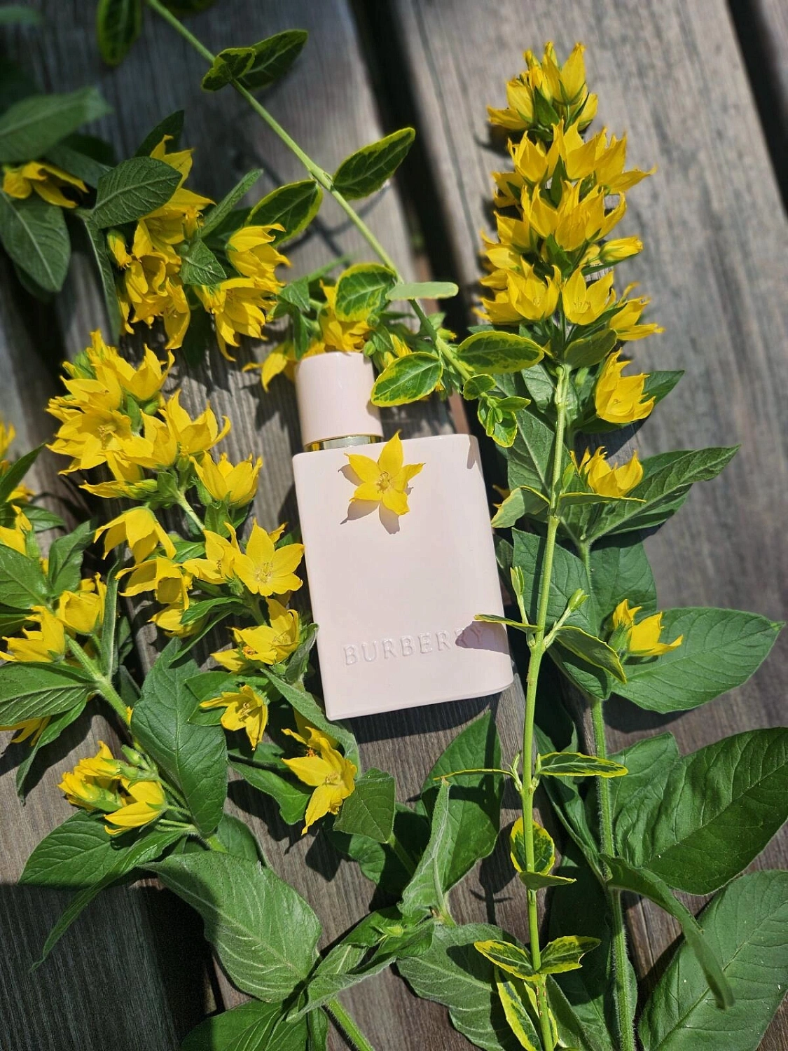 Burberry Her Elixir de Parfum