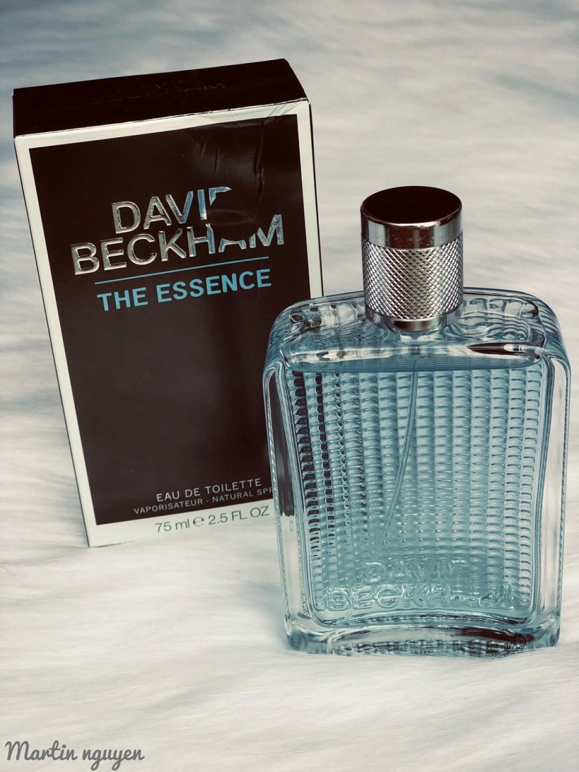 David Beckham The Essence