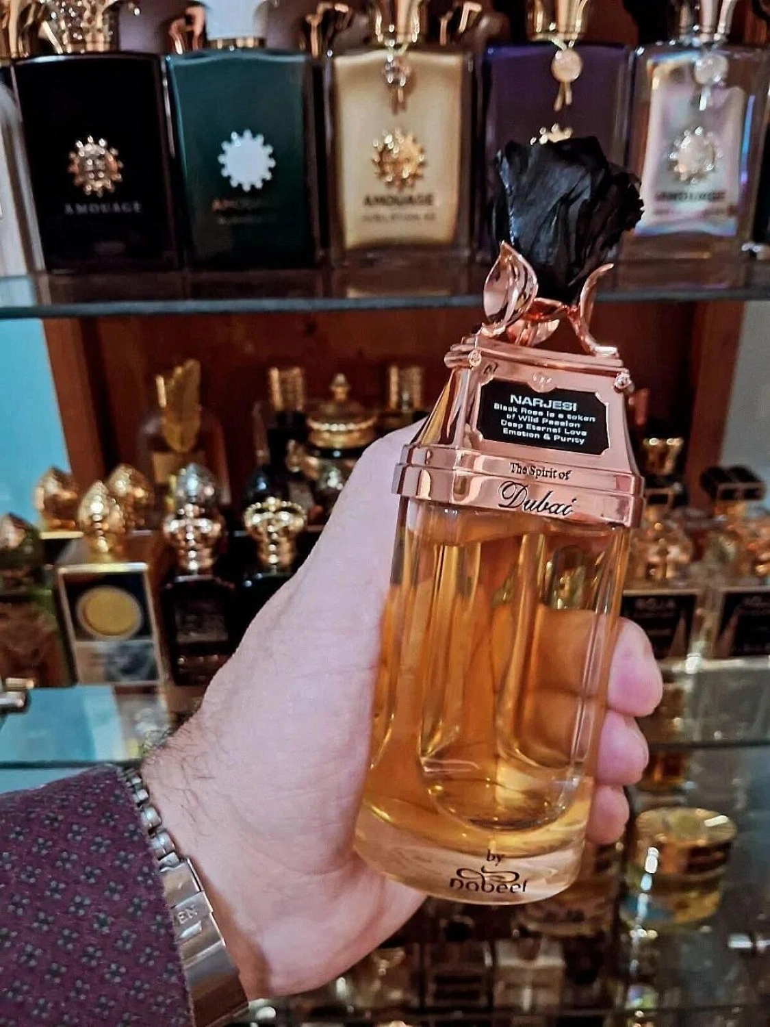 The Spirit of Dubai Narjesi