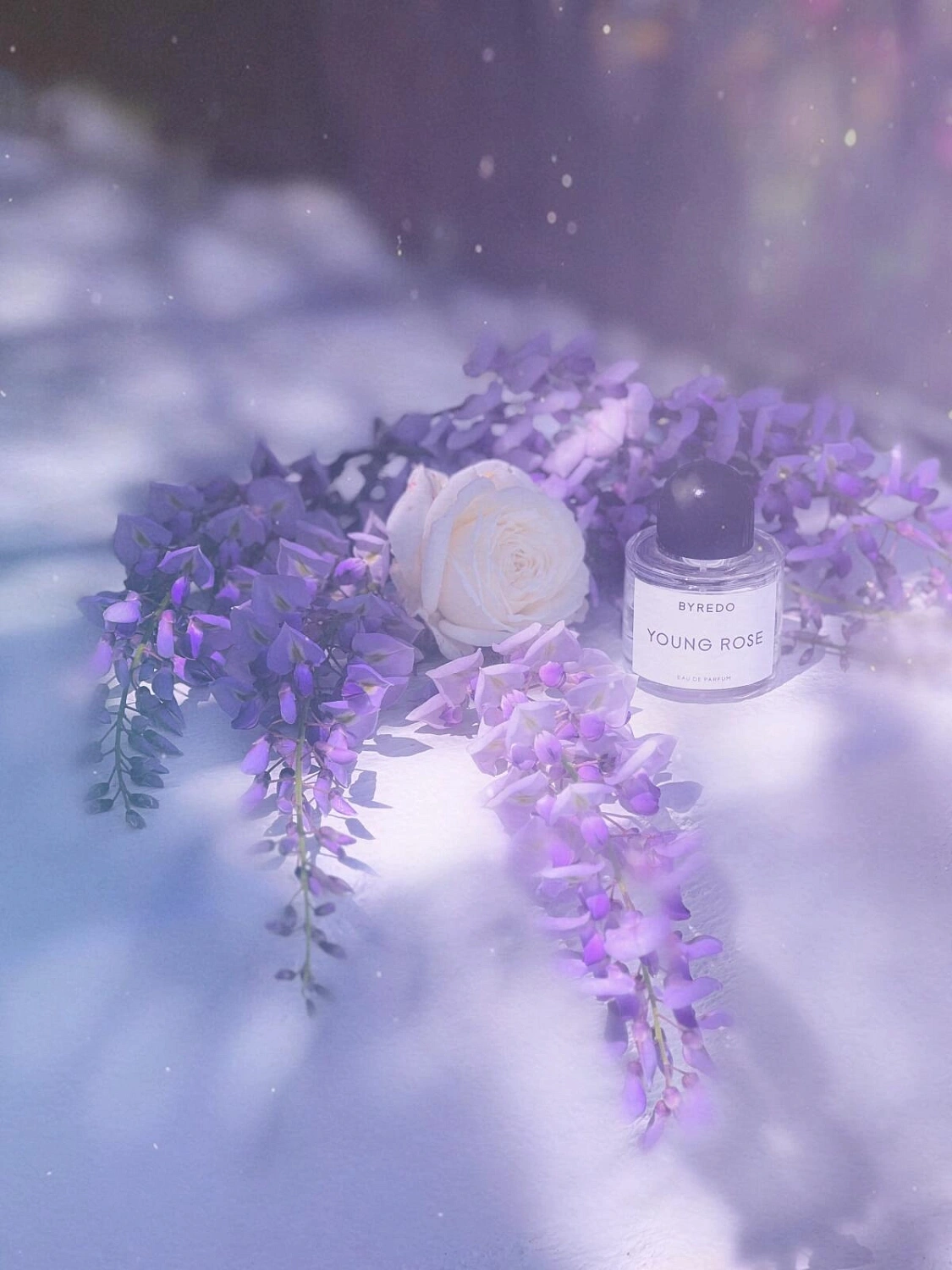BYREDO Young Rose