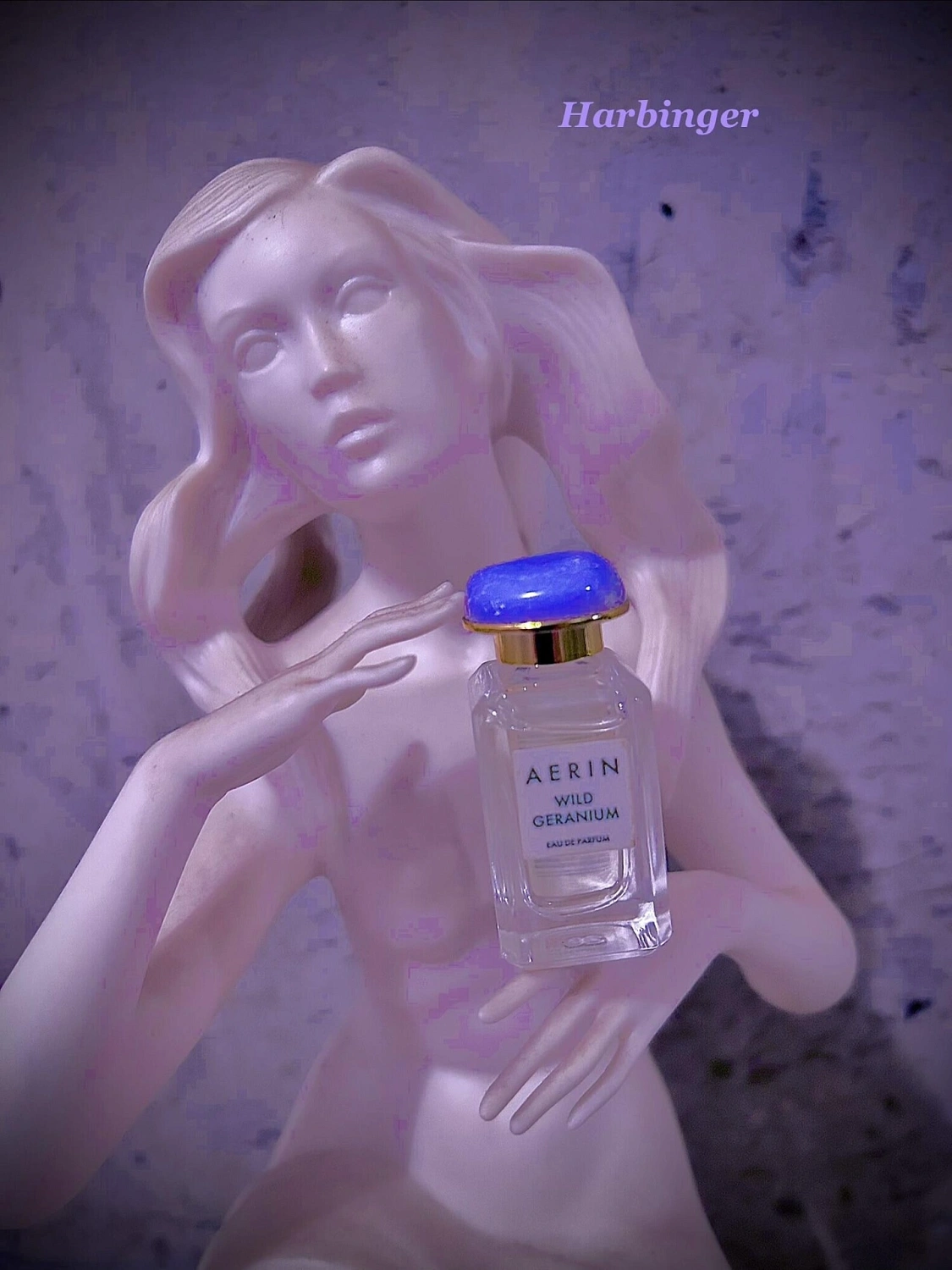 AERIN Wild Geranium