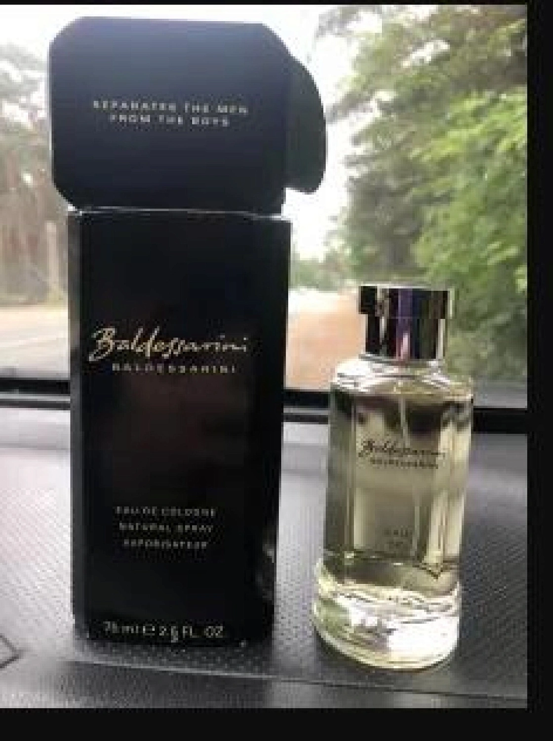 Baldessarini