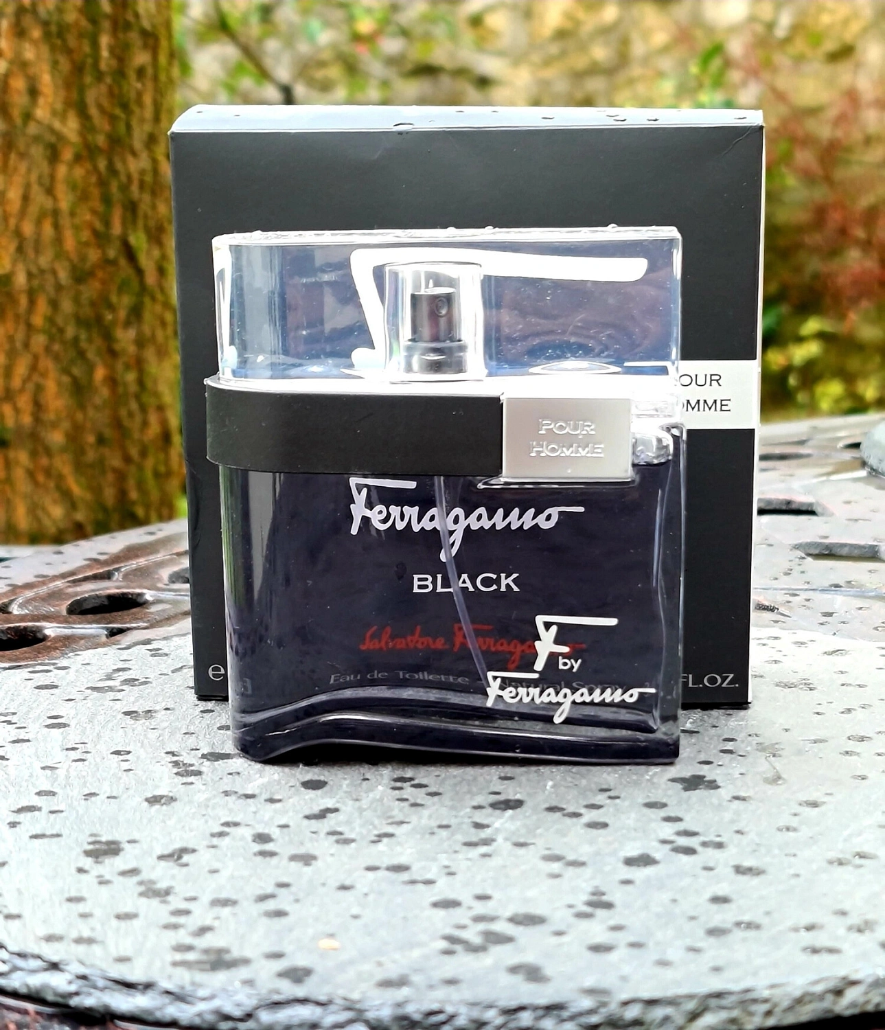 Salvatore Ferragamo F by Ferragamo Black pour homme