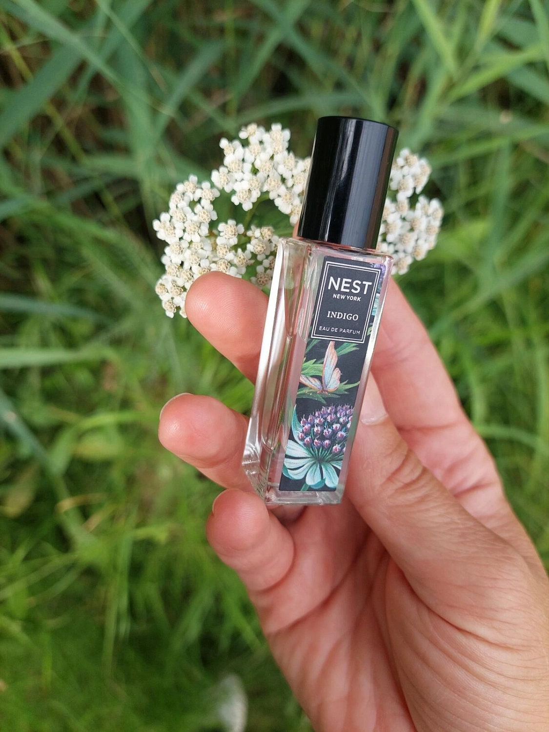 NEST Indigo