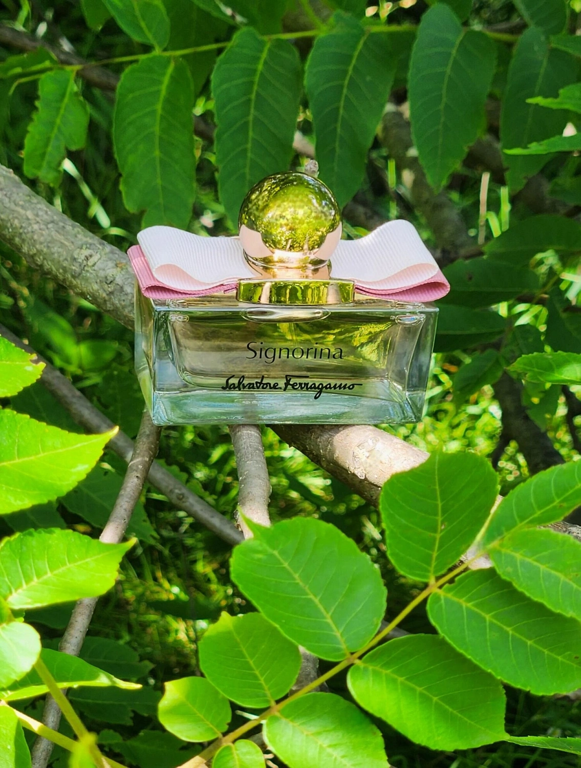 Salvatore Ferragamo Signorina