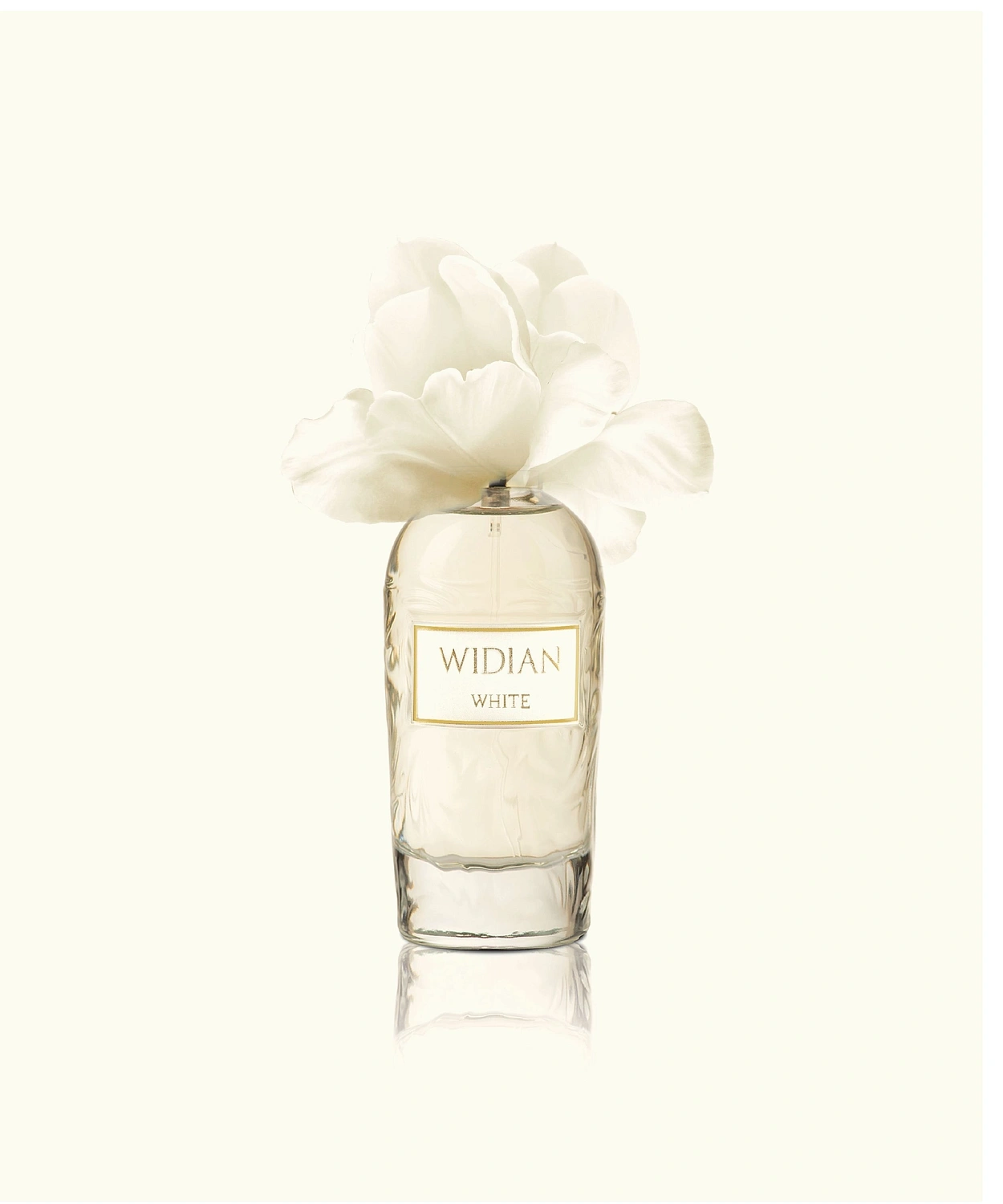 AJ Arabia Widian Rose Arabia White