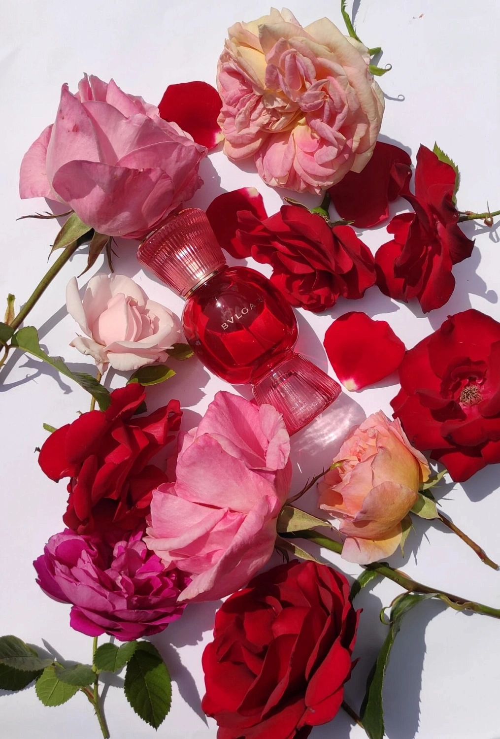 Bvlgari Fiori D'Amore