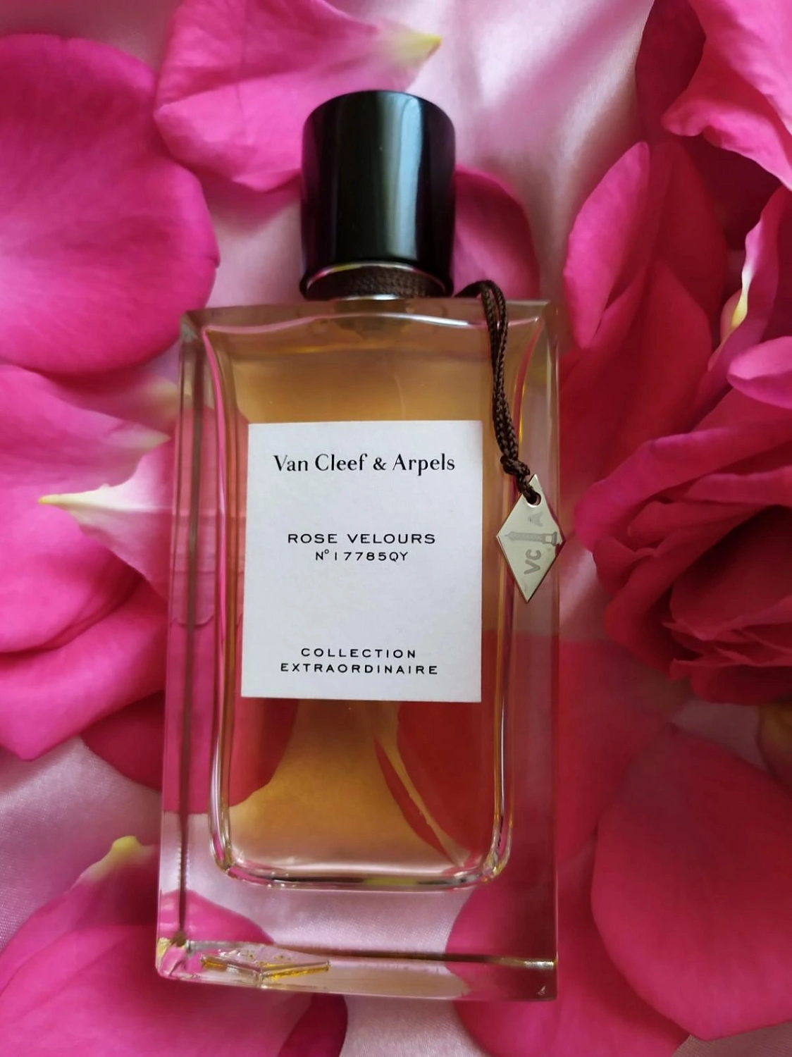 Van Cleef & Arpels Collection Extraordinaire Rose Velours