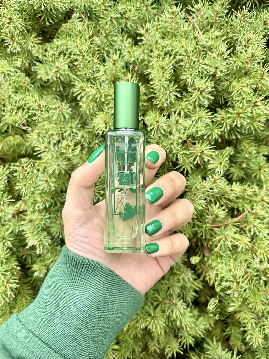 Jo Malone Wild Strawberry & Parsley