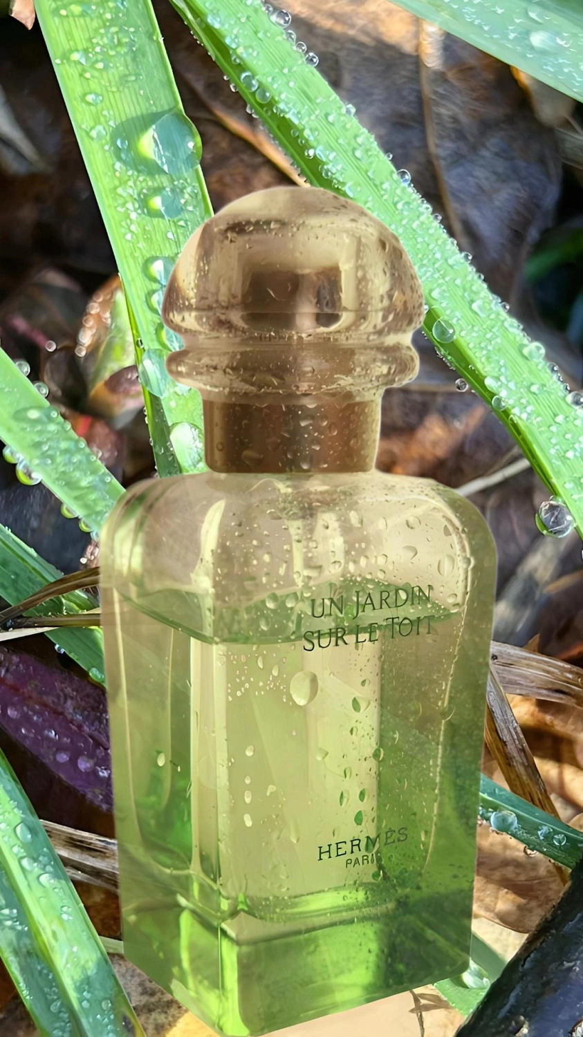 Hermès Un Jardin Sur Le Toit