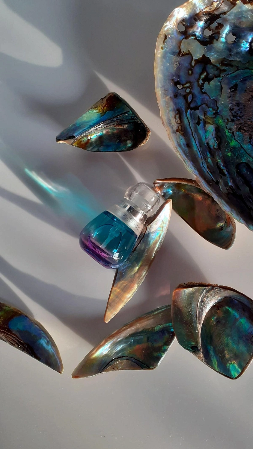 Estée Lauder Beyond Paradise Summer Bouquet