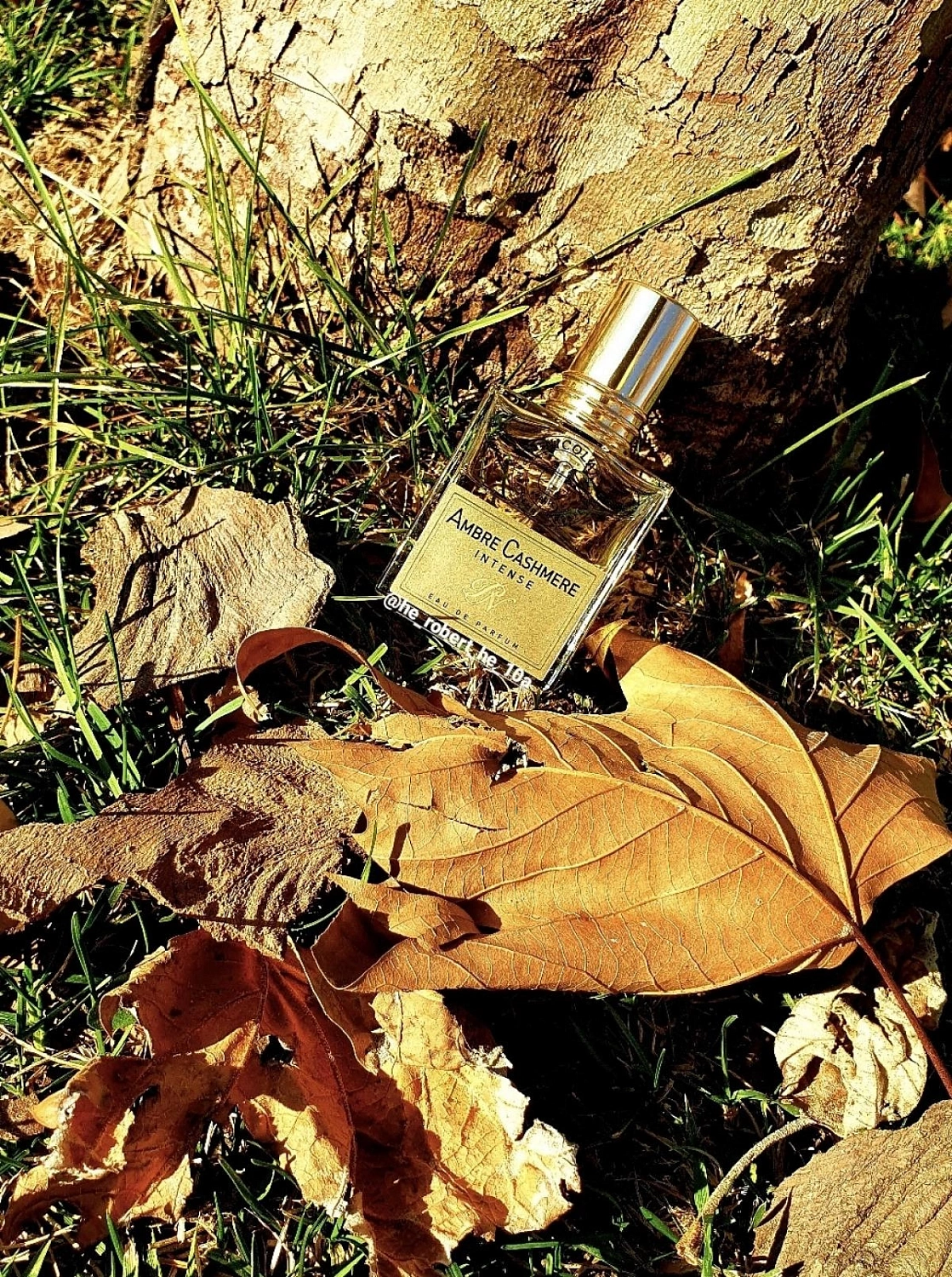 Nicolaï Ambre Cashmere Intense
