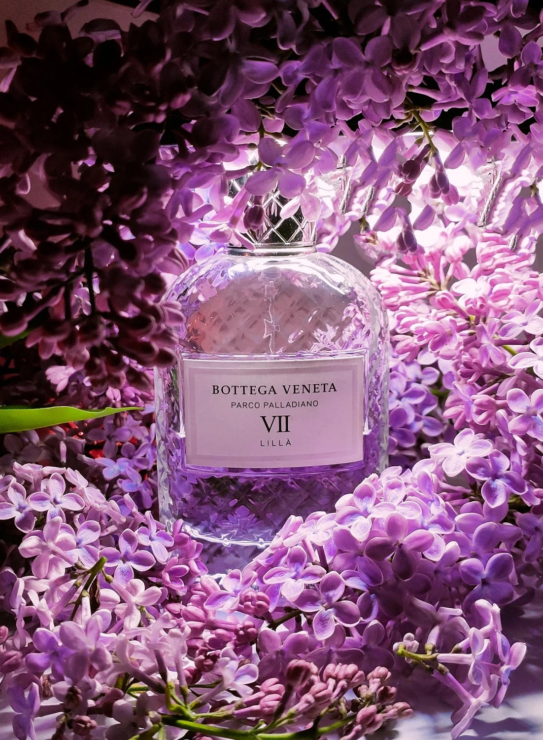 Bottega Veneta Parco Palladiano VII: Lilla