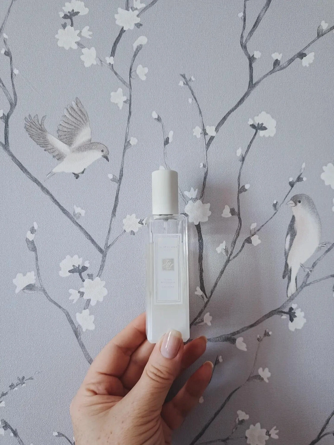 Jo Malone Star Magnolia