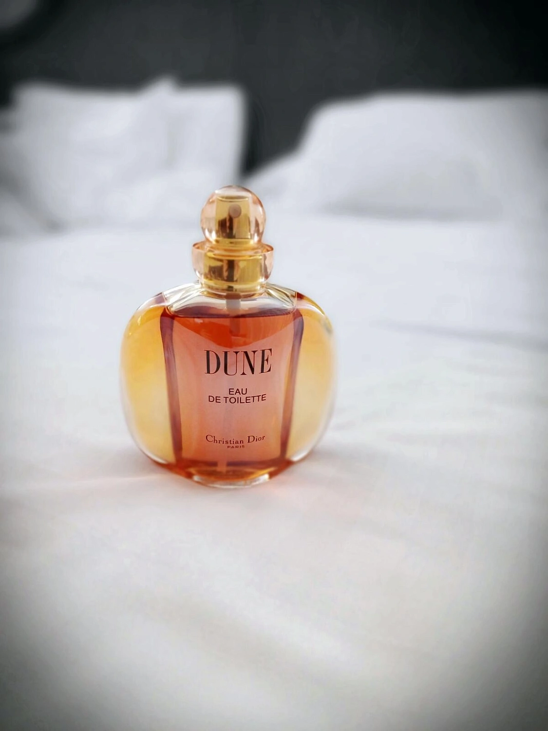 Christian Dior Dune