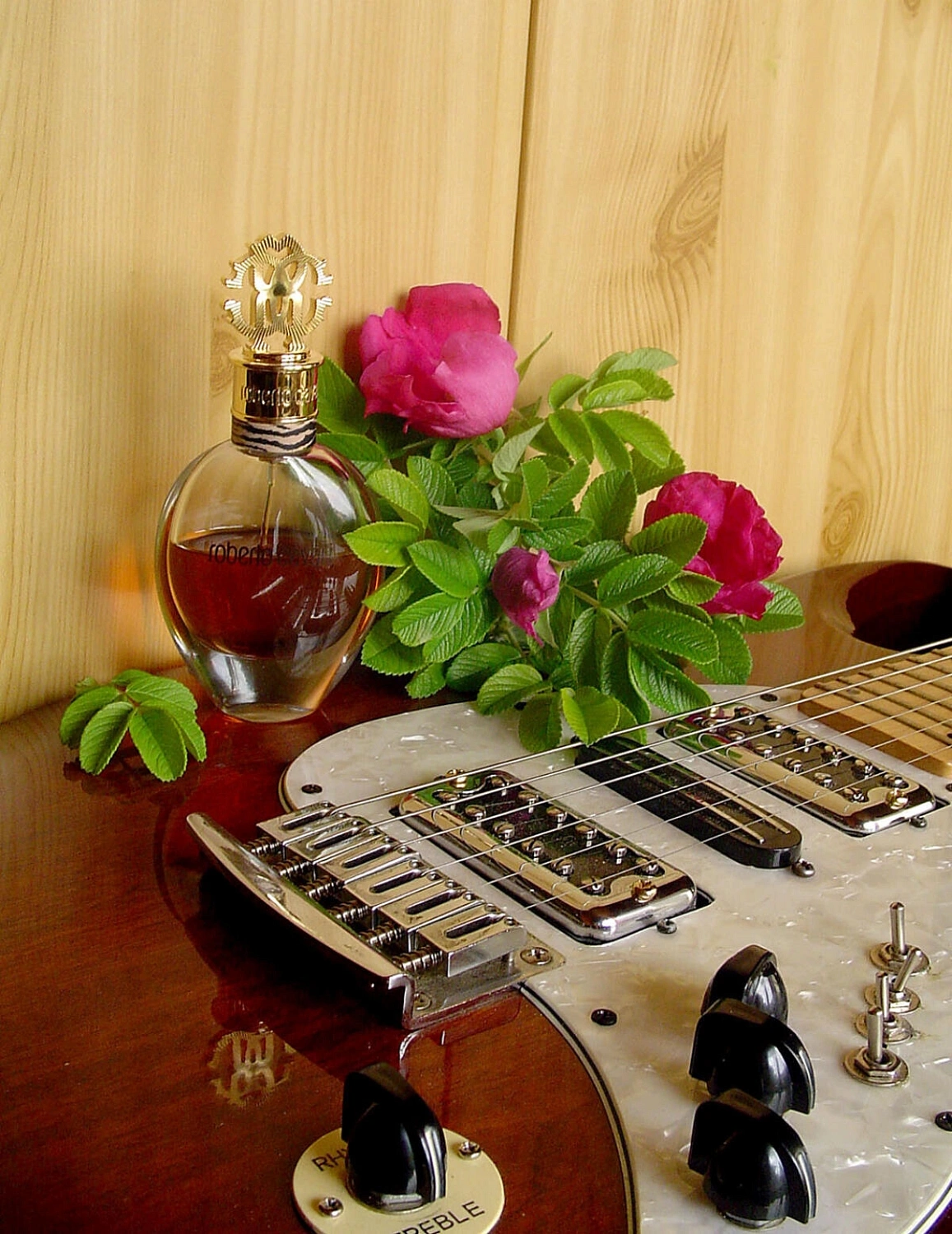 Roberto Cavalli Eau de Parfum 2012 (Signature)