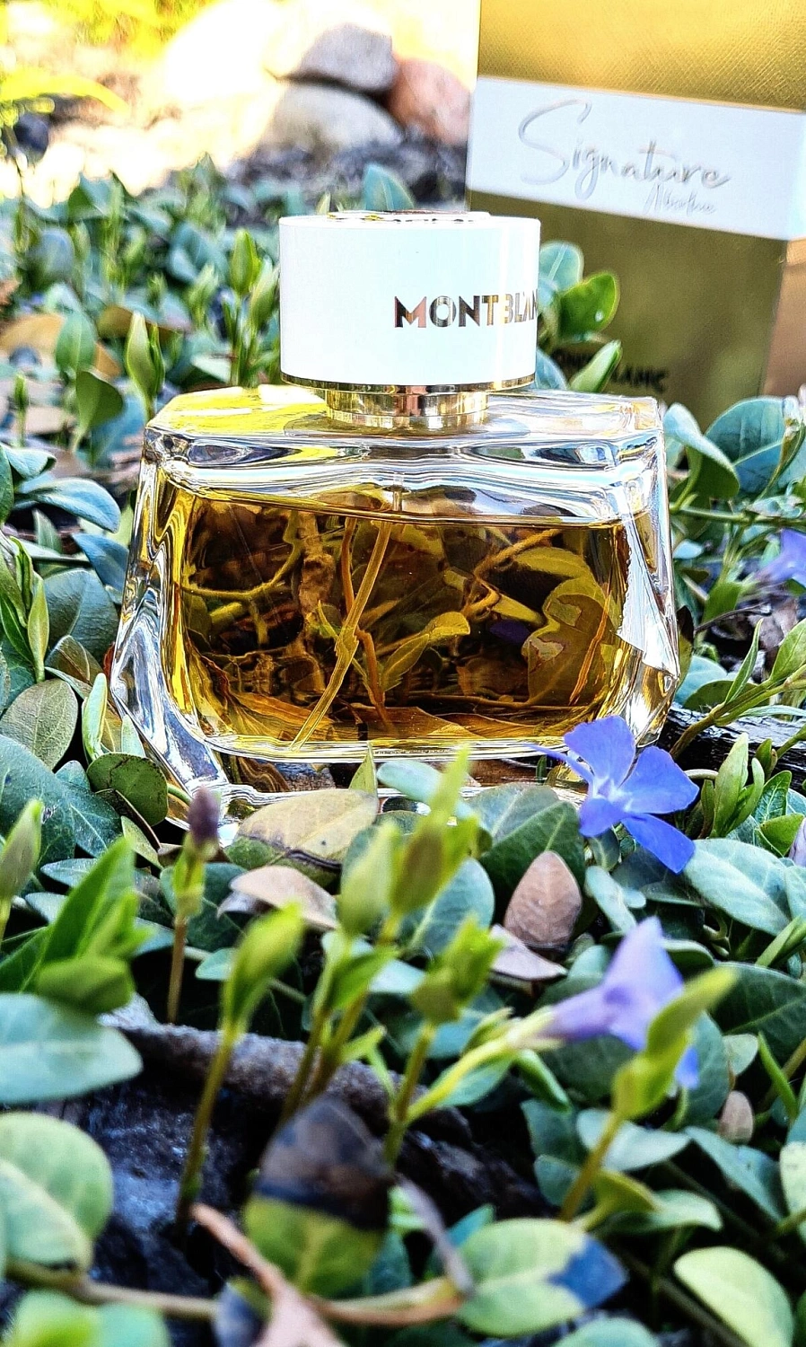 Montblanc Signature Absolue