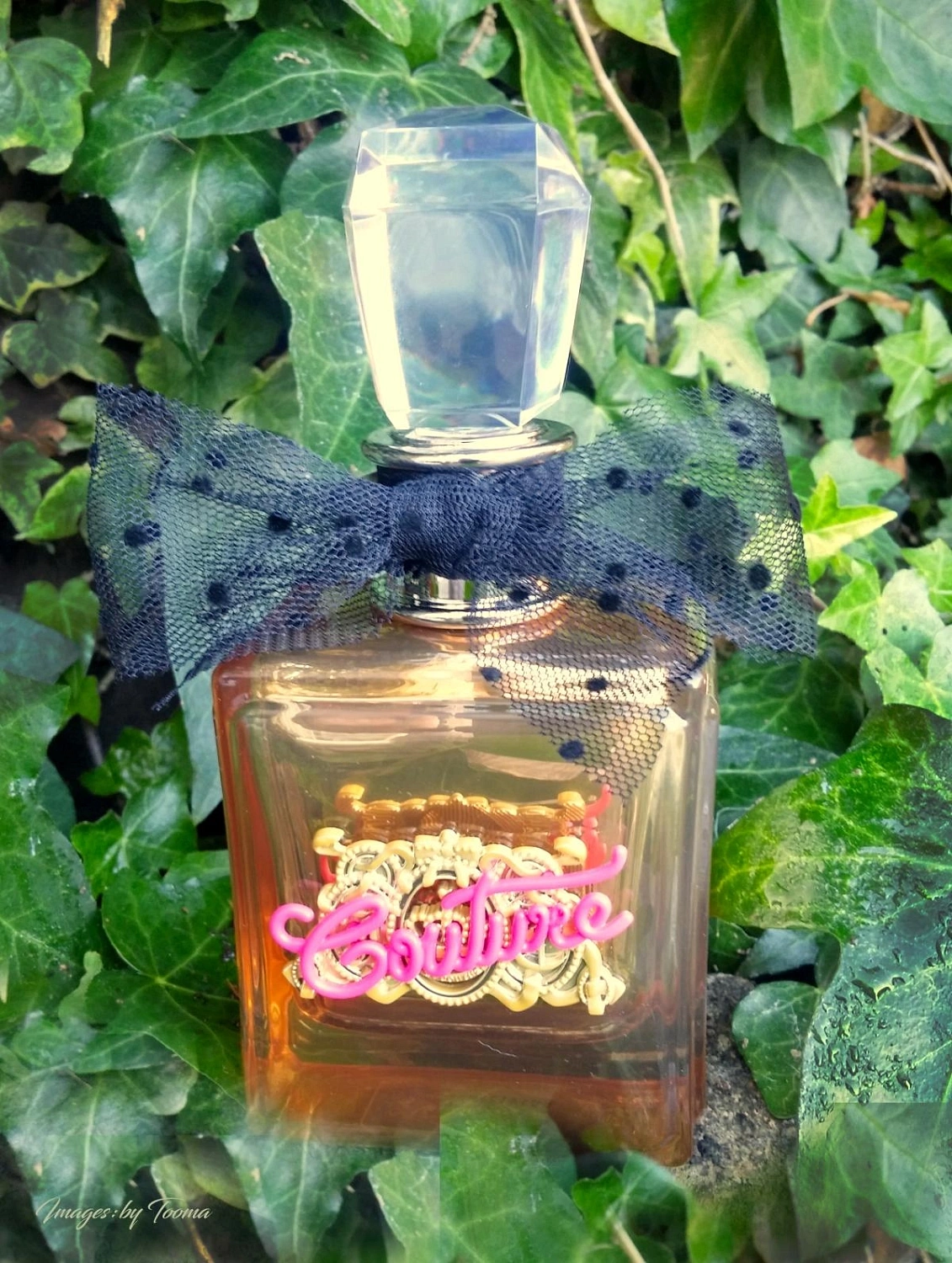 Juicy Couture Oui