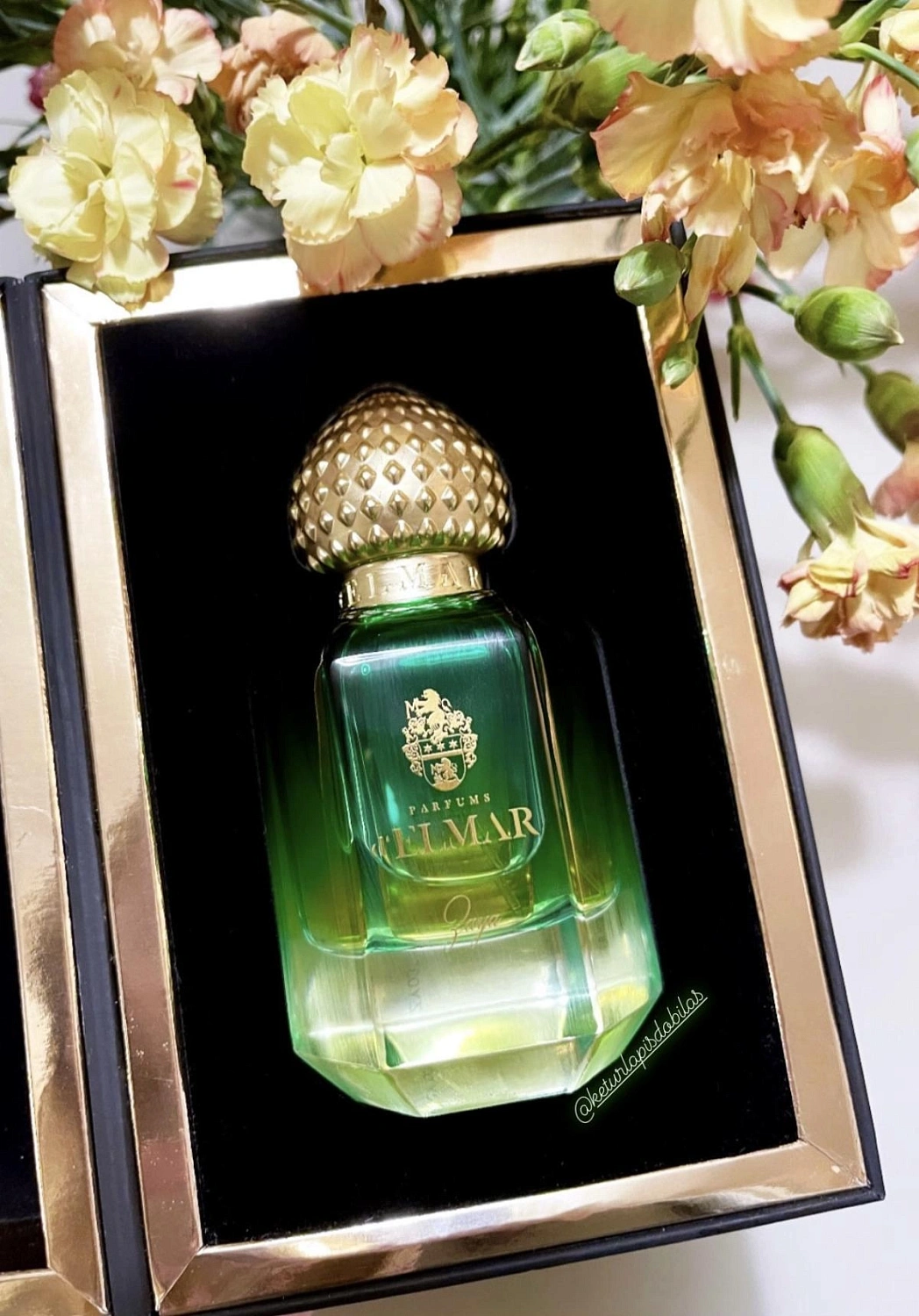 Parfums d'Elmar Zaya