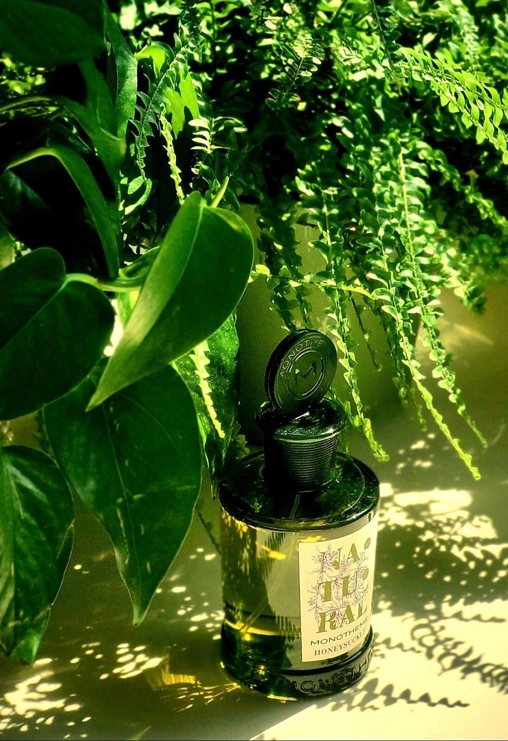 Monotheme Fine Fragrances Venezia Honeysuckle