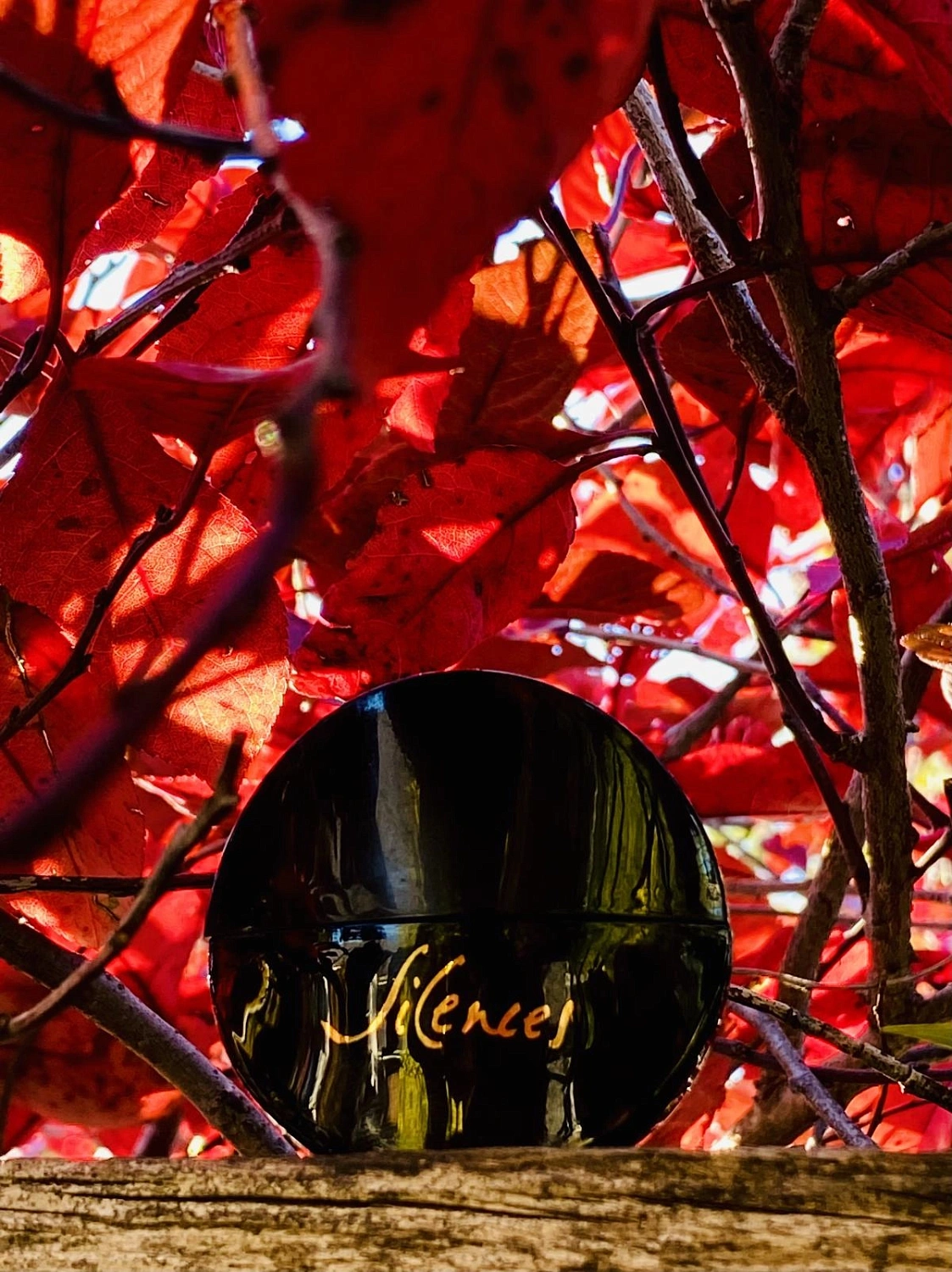 Jacomo Silences Eau de Parfum Sublime