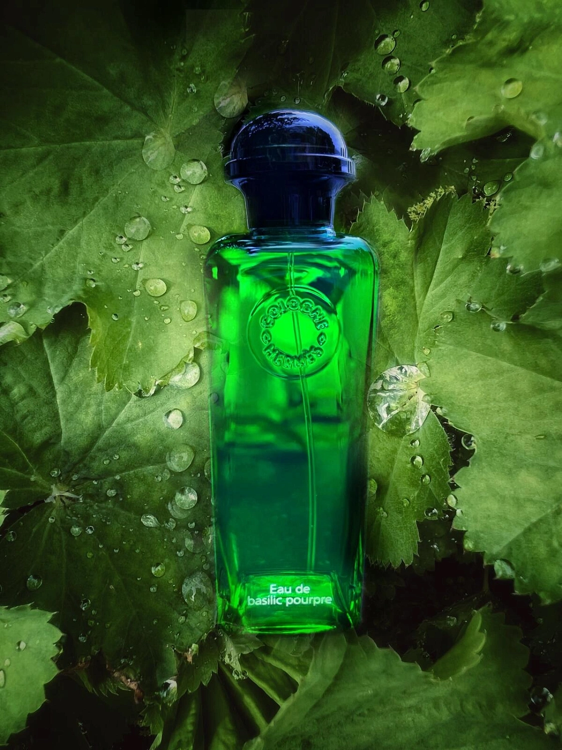 Hermès Eau de Basilic Pourpre
