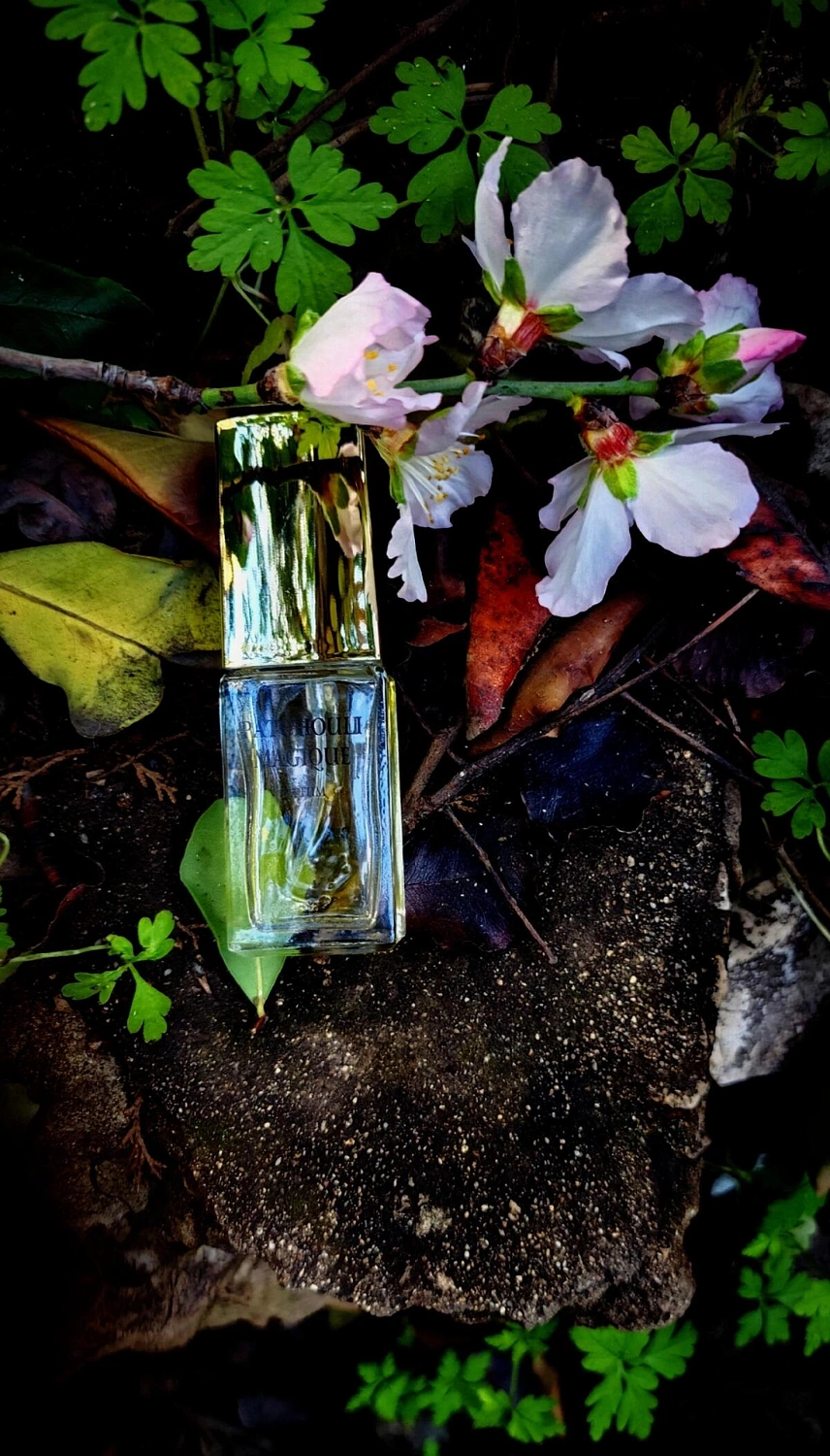 Novaya Zarya (Новая Заря) Волшебство пачули (Patchouli Magique)