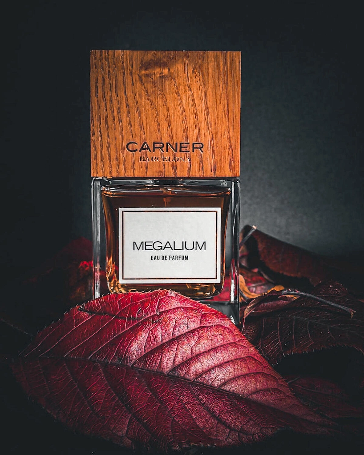 Carner Barcelona Megalium