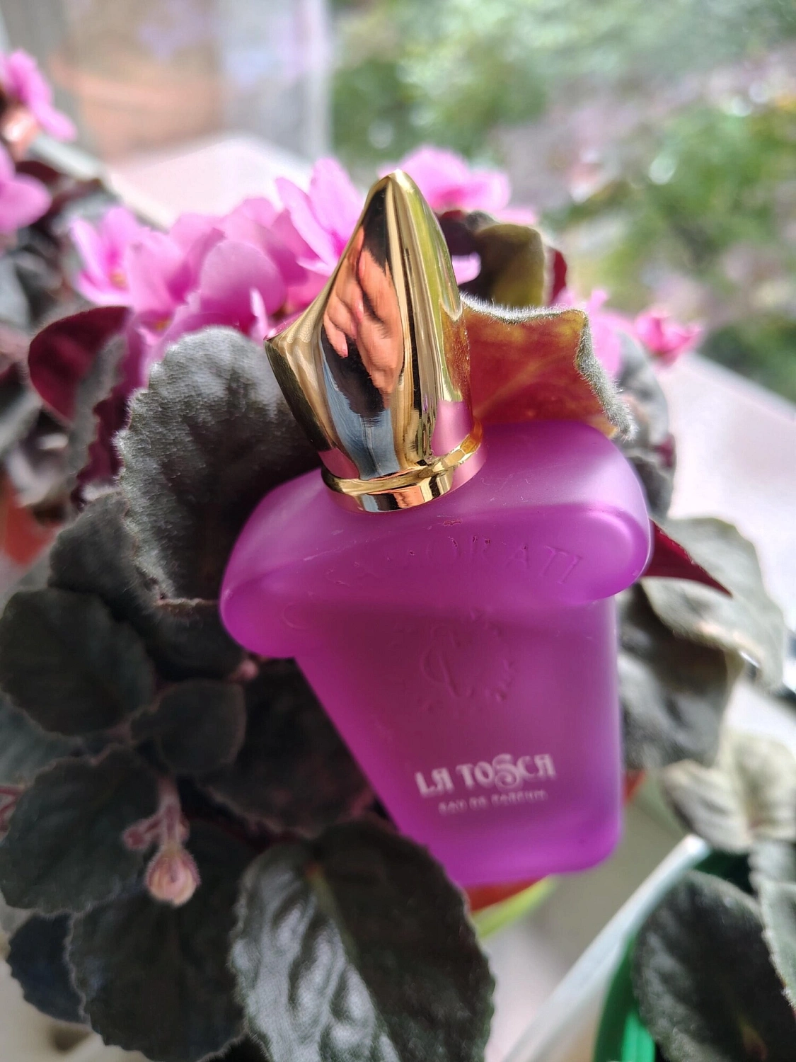 Xerjoff La Tosca