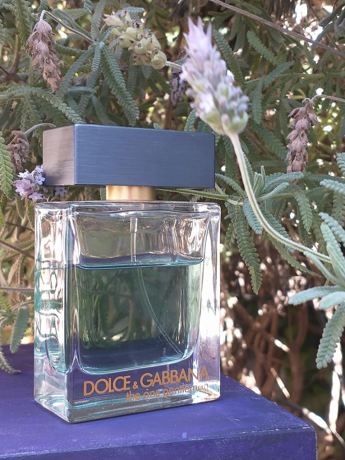 Dolce & Gabbana The One Gentleman