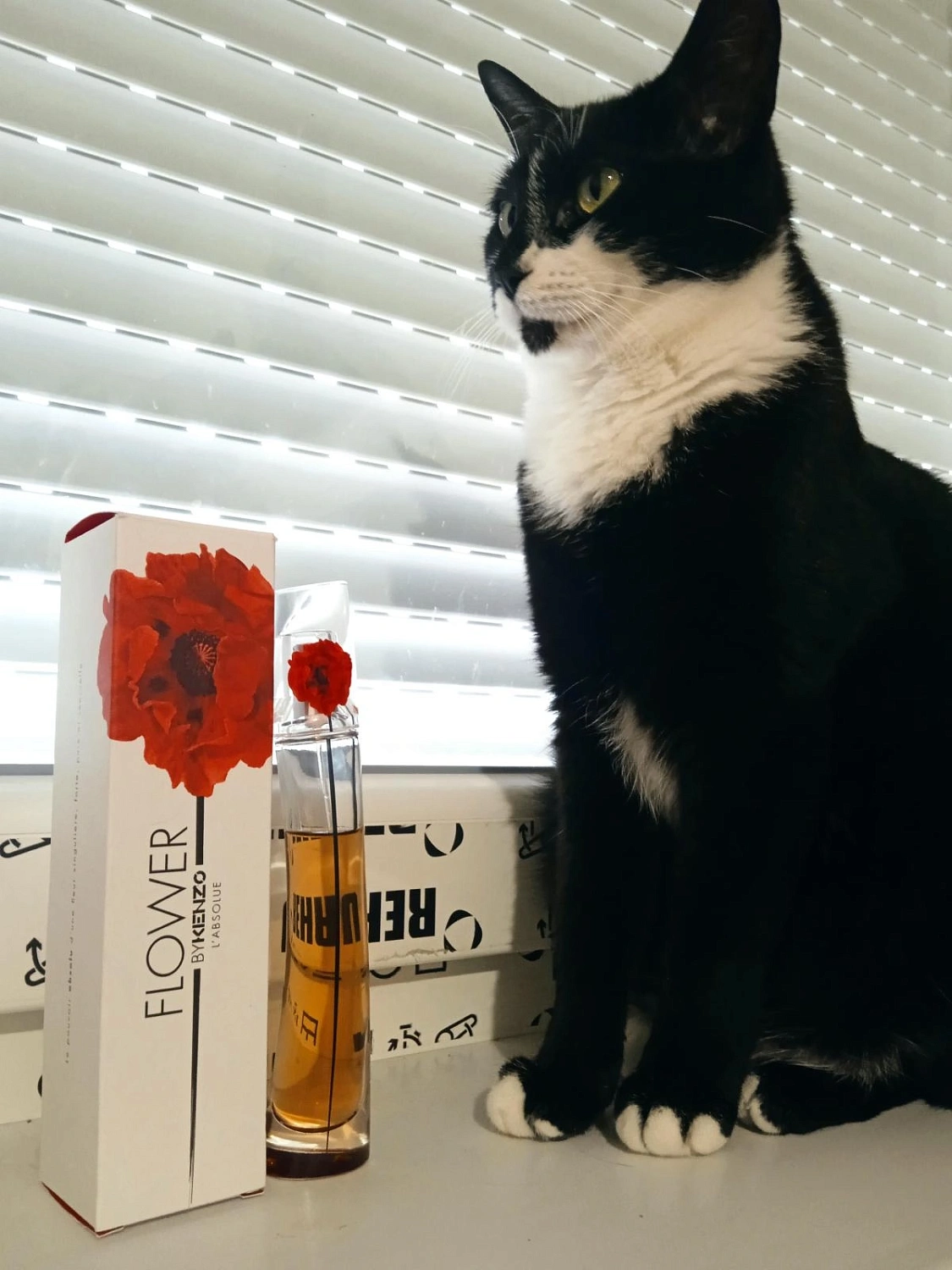 Flower by Kenzo L'Absolue