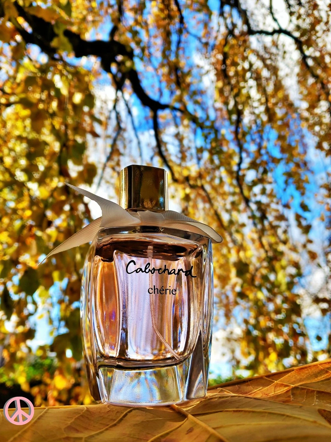 Grès Cabochard Cherie