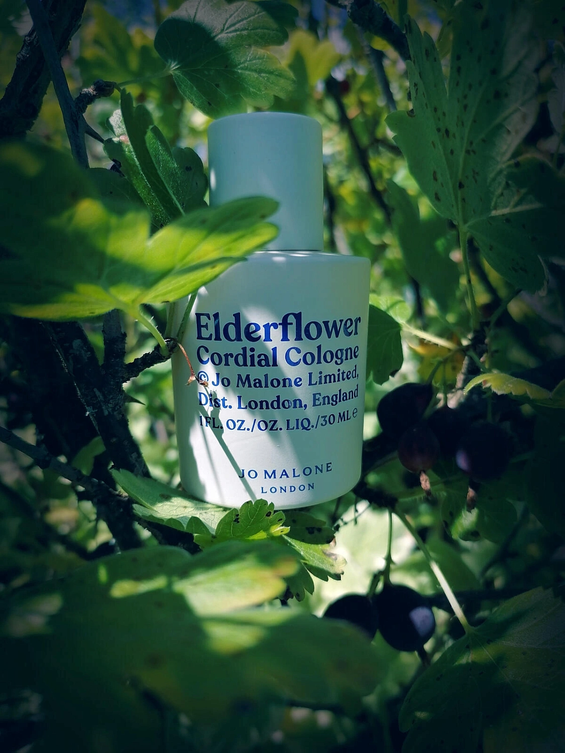 Jo Malone Elderflower Cordial Cologne