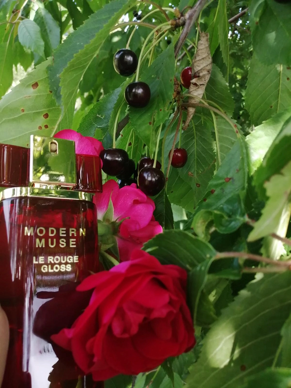 Estée Lauder Modern Muse Le Rouge Gloss