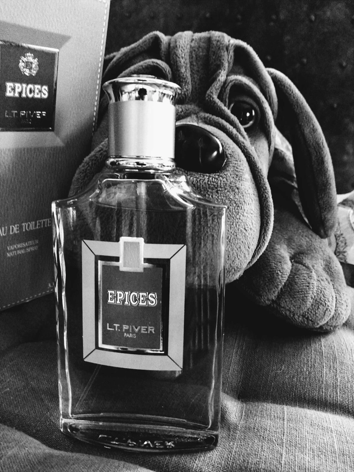 L.T. Piver Epices